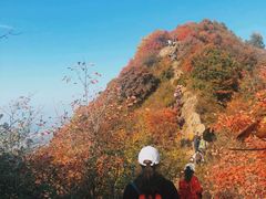 -秦岭风景区