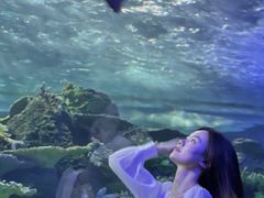 -江和美海洋公园