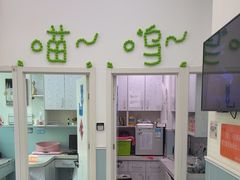 -纳吉亚猫专科动物医院·北北分院