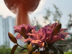 -甜阿姨·天台花园私房菜(万松园店)