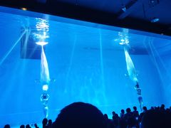 -芜湖新华联大白鲸海洋公园