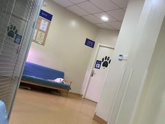 -芭比堂宠物医院·全科爱猫医院·仁德分院