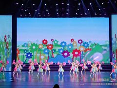 -红舞鞋舞蹈教育(近江校区)