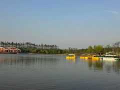 -上海长兴岛郊野公园