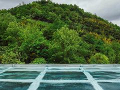 -花水湾第一村温泉大酒店