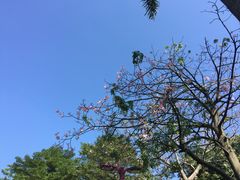 -佛山祈福仙湖酒店