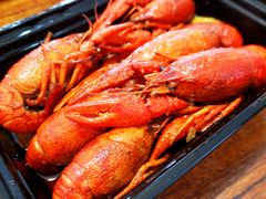-龙巢盱眙龙虾·牛蛙·烧烤宵夜(八卦岭店)