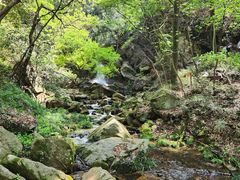 -波尔登森林公园