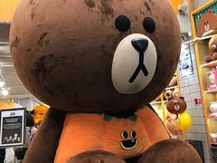 -line friends(明洞旗舰店)
