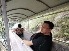 -九龙江国家森林公园