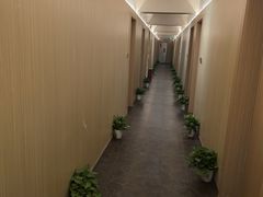-青曼SPA·按摩·采耳·足道(龙之梦店)