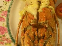 -Red Lobster