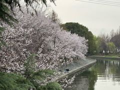 -阳澄湖半岛旅游度假区
