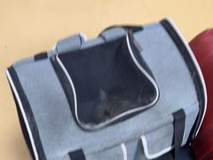 -瑞派天宁宠物医院·猫科·异宠中心
