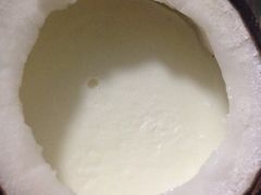 吃货椰子冻-志龙皇冠吃货椰子铺