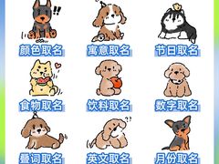 -芭比堂动物医院·心脏科·老年急重症·夜诊·吉雅分院