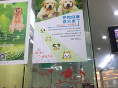 -瑞鹏宠物医院·微创内窥镜·骨外科·牙科(翠竹分院)