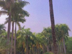 -中国科学院西双版纳热带植物园
