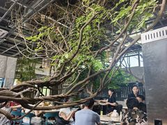 -又见炊烟私房菜(敬亭路店)