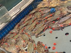 -一方渔歌蒸汽海鲜自助(文化路万达广场店)