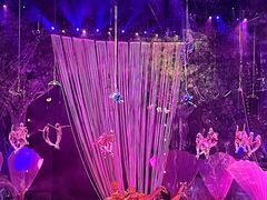 -广州长隆国际大马戏