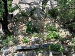 -阳台山自然风景区