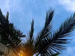 -Sunset Bar(丹绒亚路香格里拉店)