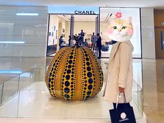 -Chanel(德基广场店)