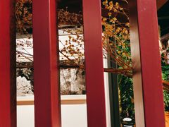 -初花·日本料理