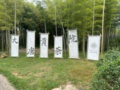 -大唐贡茶院