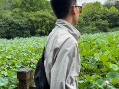 -龙头寺公园