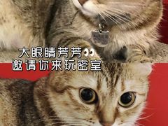 -H立方实景剧情密室(天河旗舰店)