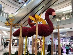 -凯德广场(学府店)