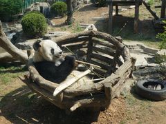 -大连森林动物园