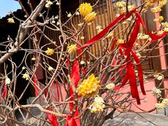 -茅山东方盐湖城景区