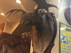 -乔家满族八大碗(流水沟店)