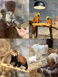 -Zoolung Zoolung动物主题公园(海信广场店)