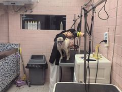 -FAELING PETS美天灵宠物(富力广场店)