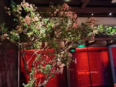 -星·South Beauty·俏江南(国贸店)