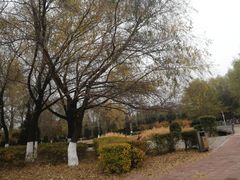 -长白岛森林公园