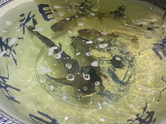 -南京金牛湖巨碗鱼头