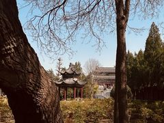 -洛阳白马寺