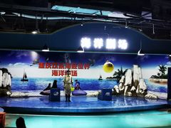 -重庆欢乐海底世界