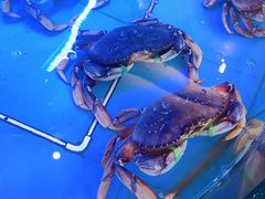 -高老庄新家宴(北斗星广场店)