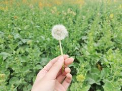 -洪湖家庭农场·团建·露营·会议