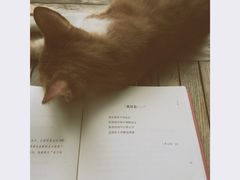 iphone_upload_pic-二楼南书房