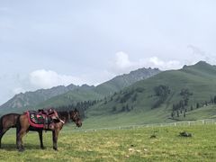 -新疆那拉提国家旅游度假区