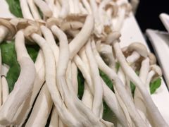 -蜀留香火锅·始于1999·原四川老火锅(白堤路店)