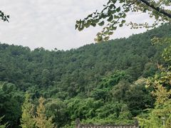 -楠柏弯休闲山庄(梨花溪店)