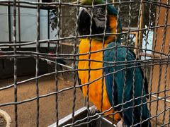 -南宫五洲植物乐园